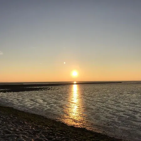 Watt Und Meer, Vermittlung Nordsee Dangast